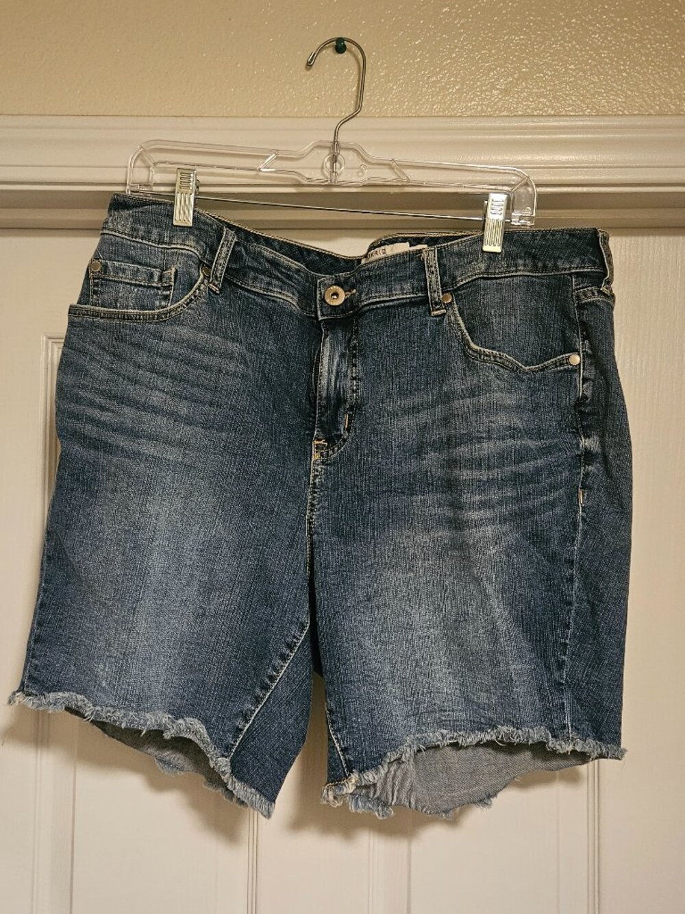 Torrid size 18 distressed denim shorts